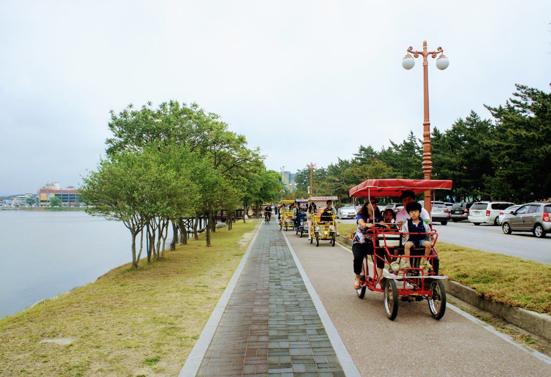 bicycle rental at Gyeongpo Lake
