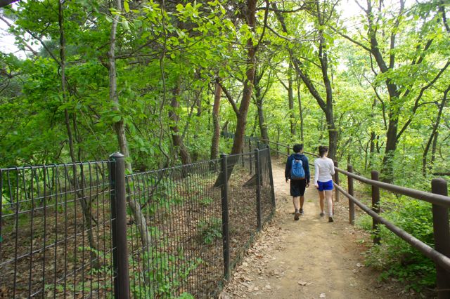 A Harrowing Hike to Hyangnobong Peak (향로봉) » Travel-Stained