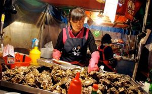 Korea in January | Oysters in Busan
