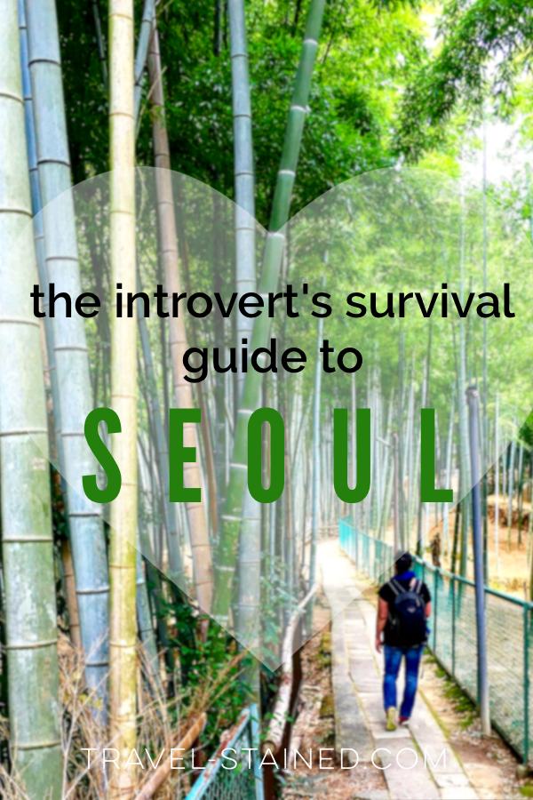 things to do in seoul alone, introvert in seoul