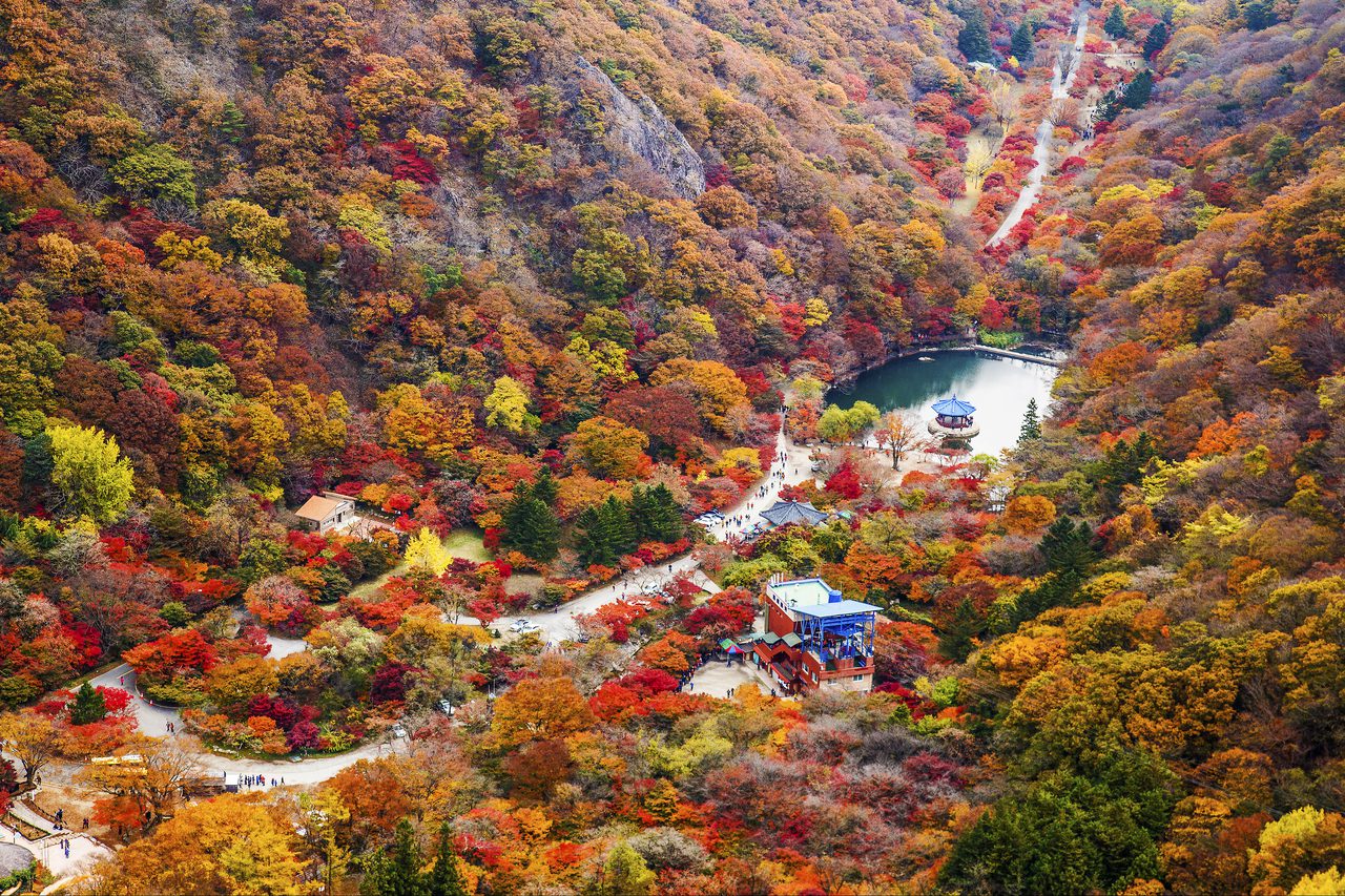naejangsan mountain in autumn in korea