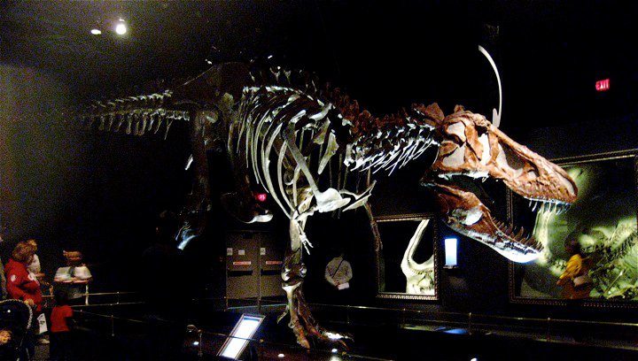Things to do in Drumheller -Royal Tyrrell Museum