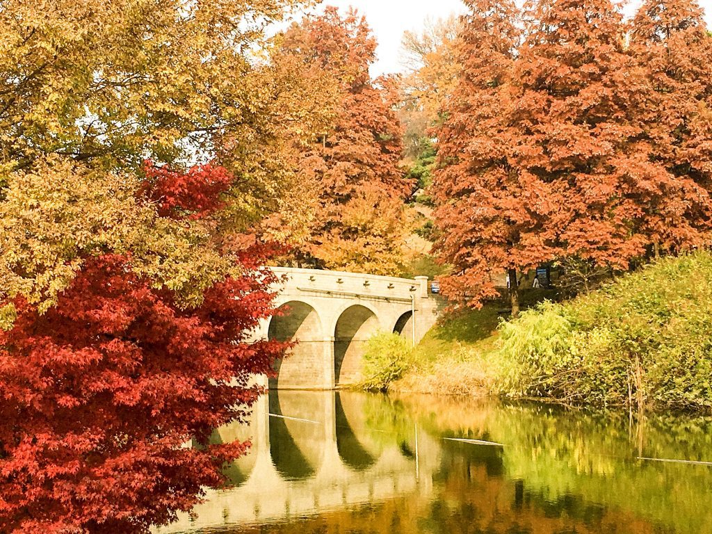 olympic park during autumn in seoul