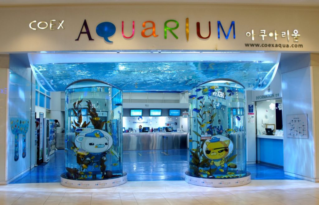 coex aquarium at starfield coex mall