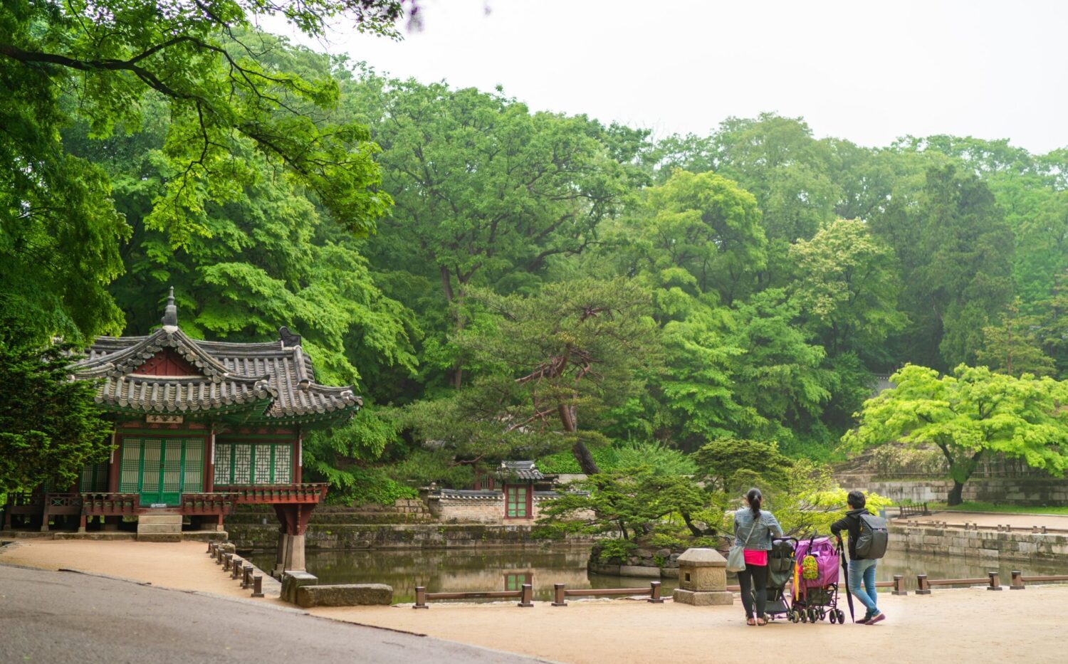 korea in april | changdeokgung secret garden