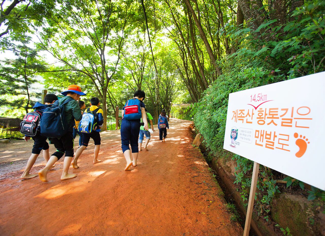 korea in may | gyejoksan red clay trail