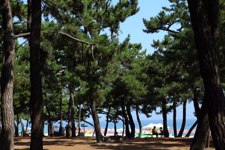 gyeongpo beach gangneung korea