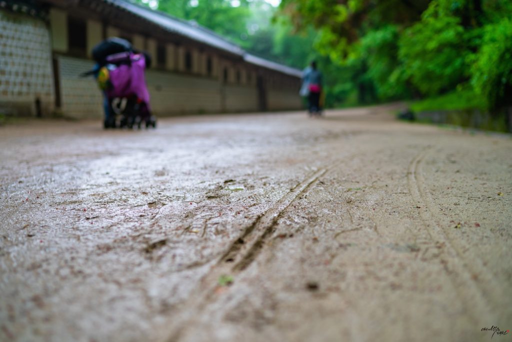spring in korea | changdeokgung palace in april