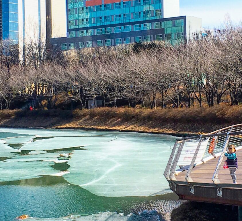 spring in korea | seokchon lake