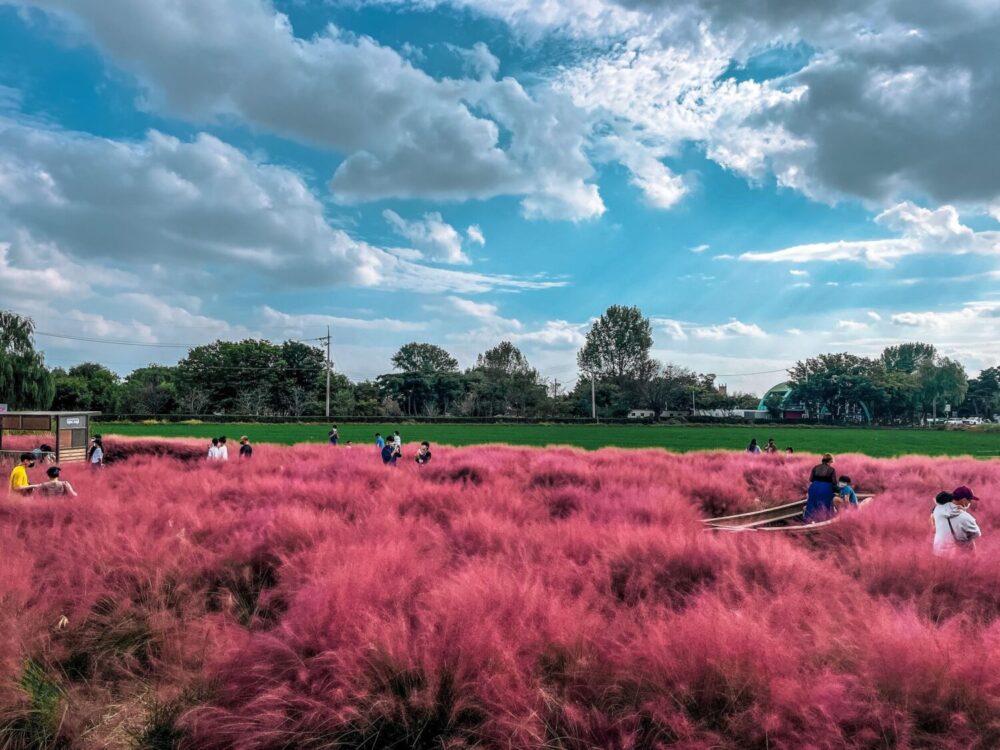 pinky muhly at baramsae village