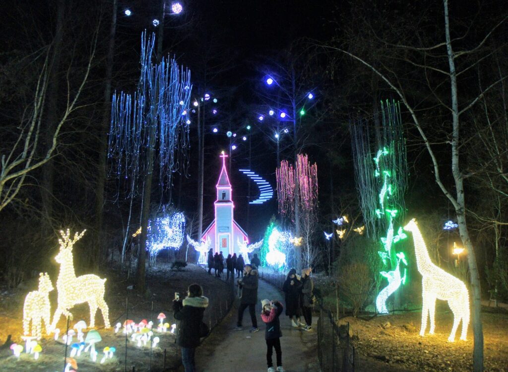 garden of morning calm winter lighting festival