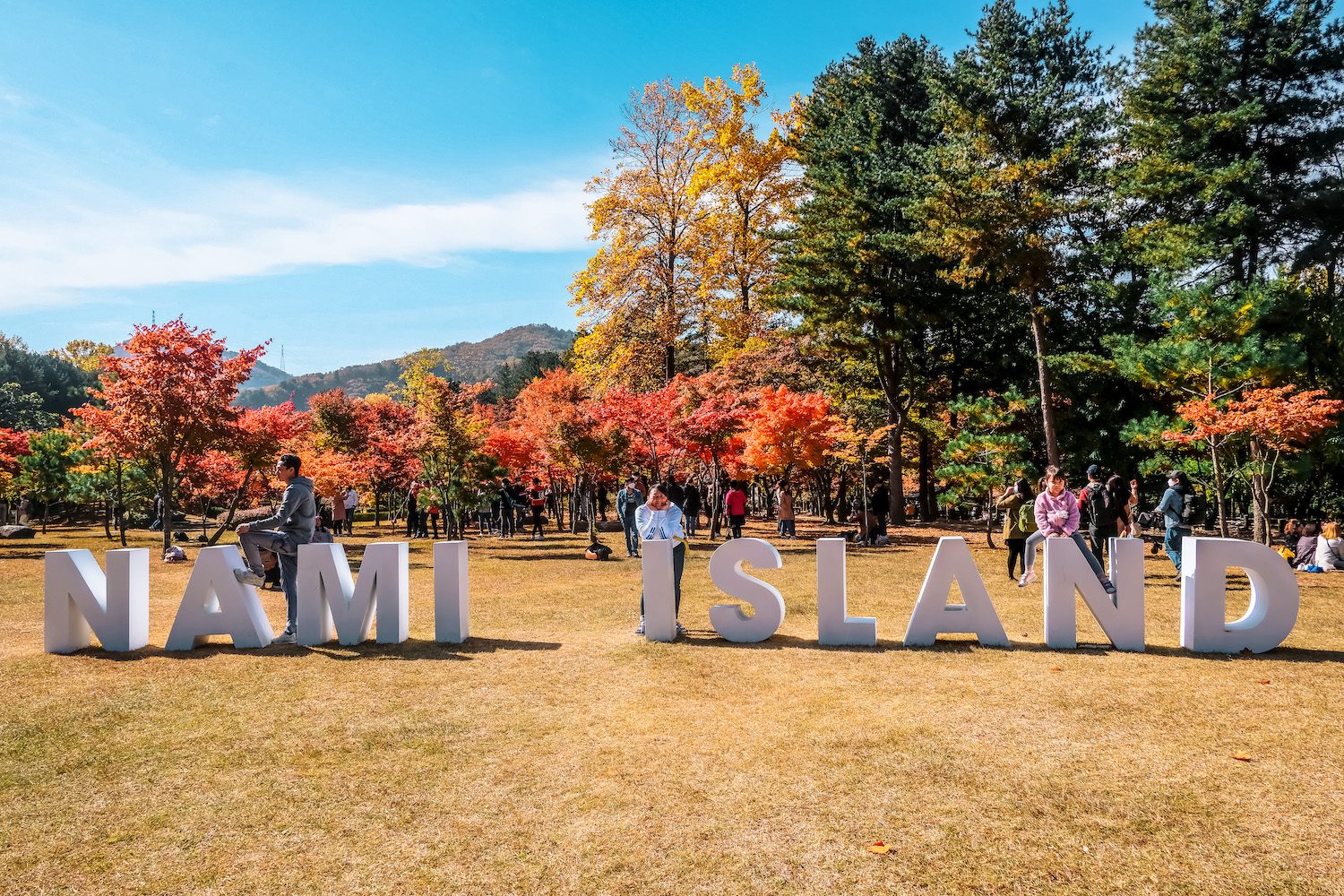 nami island sign with autumn foliage in the background
