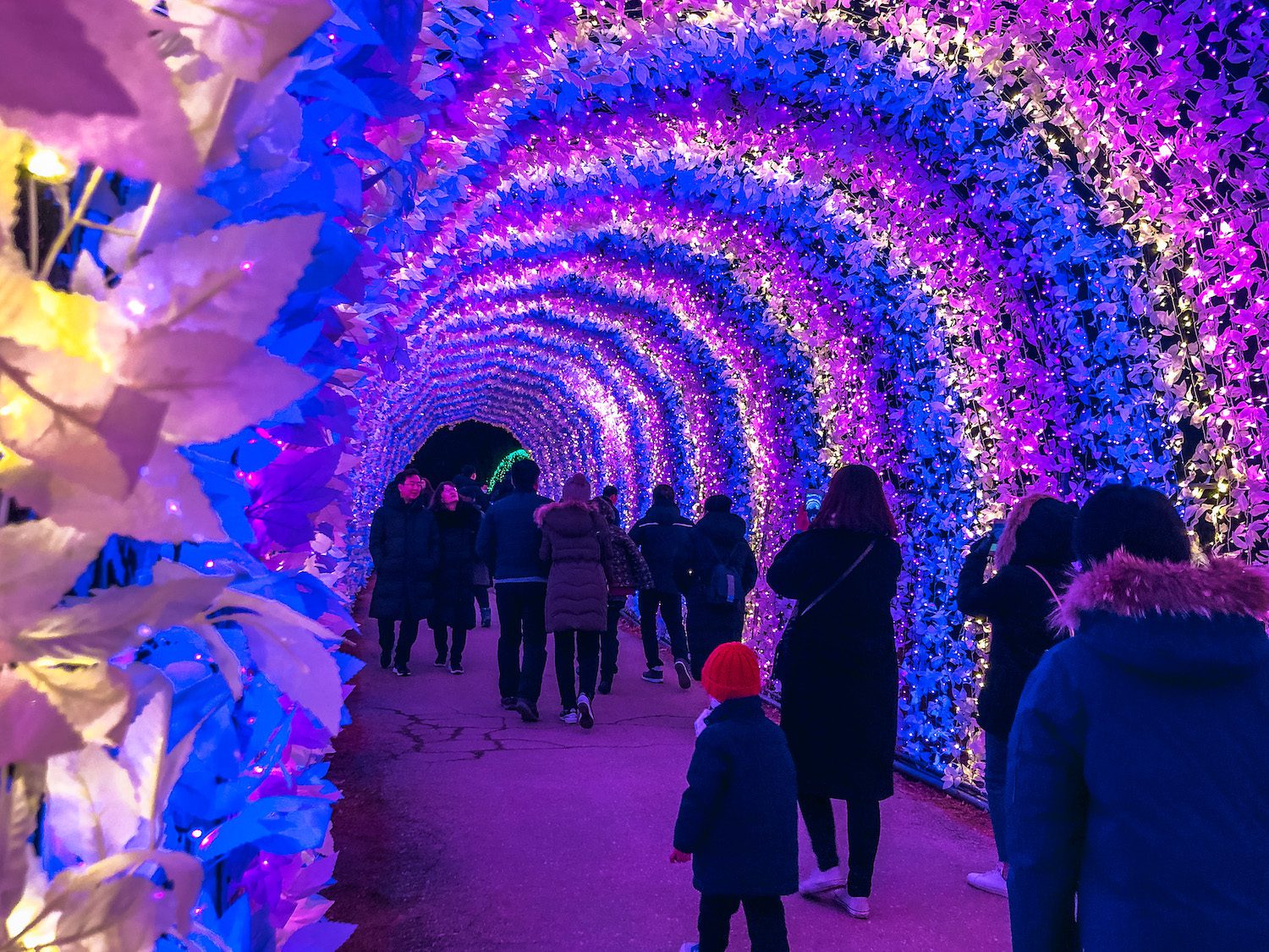 illuminated arched tunnel at the garden of morning calm lighting festival