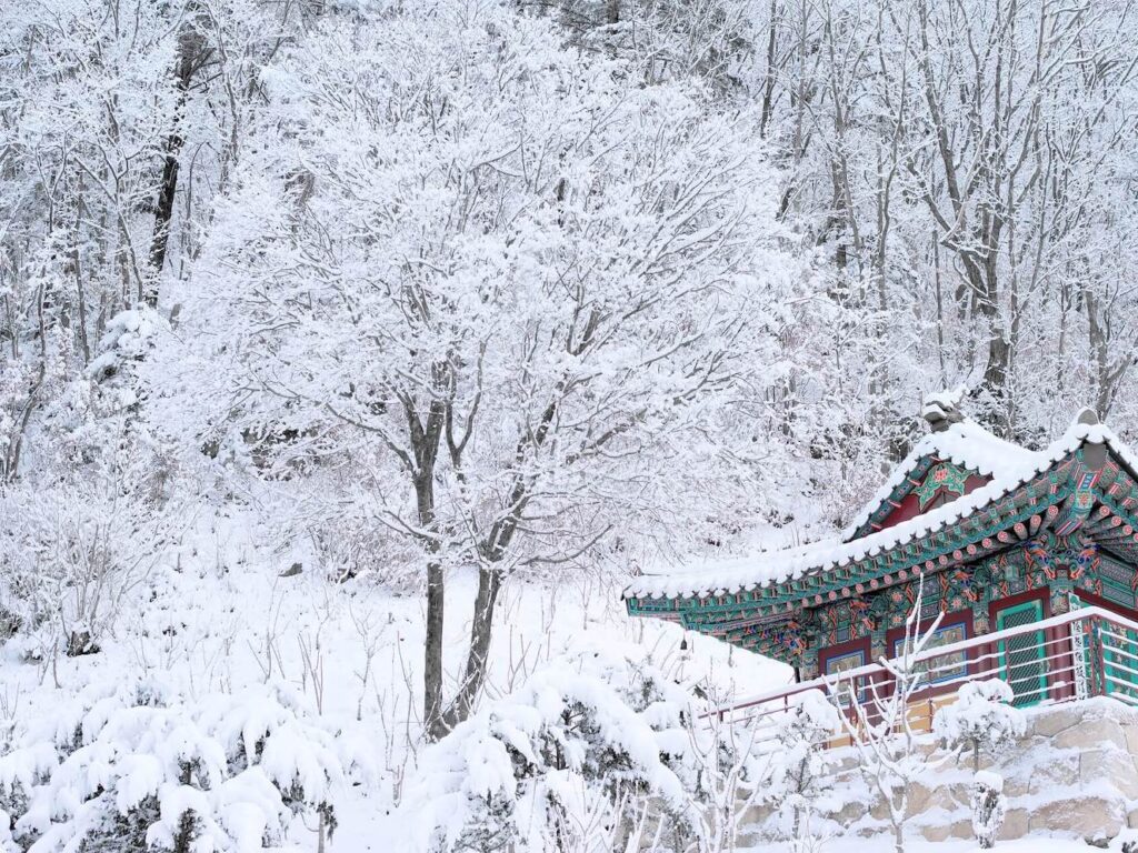 snow and a temple in korea