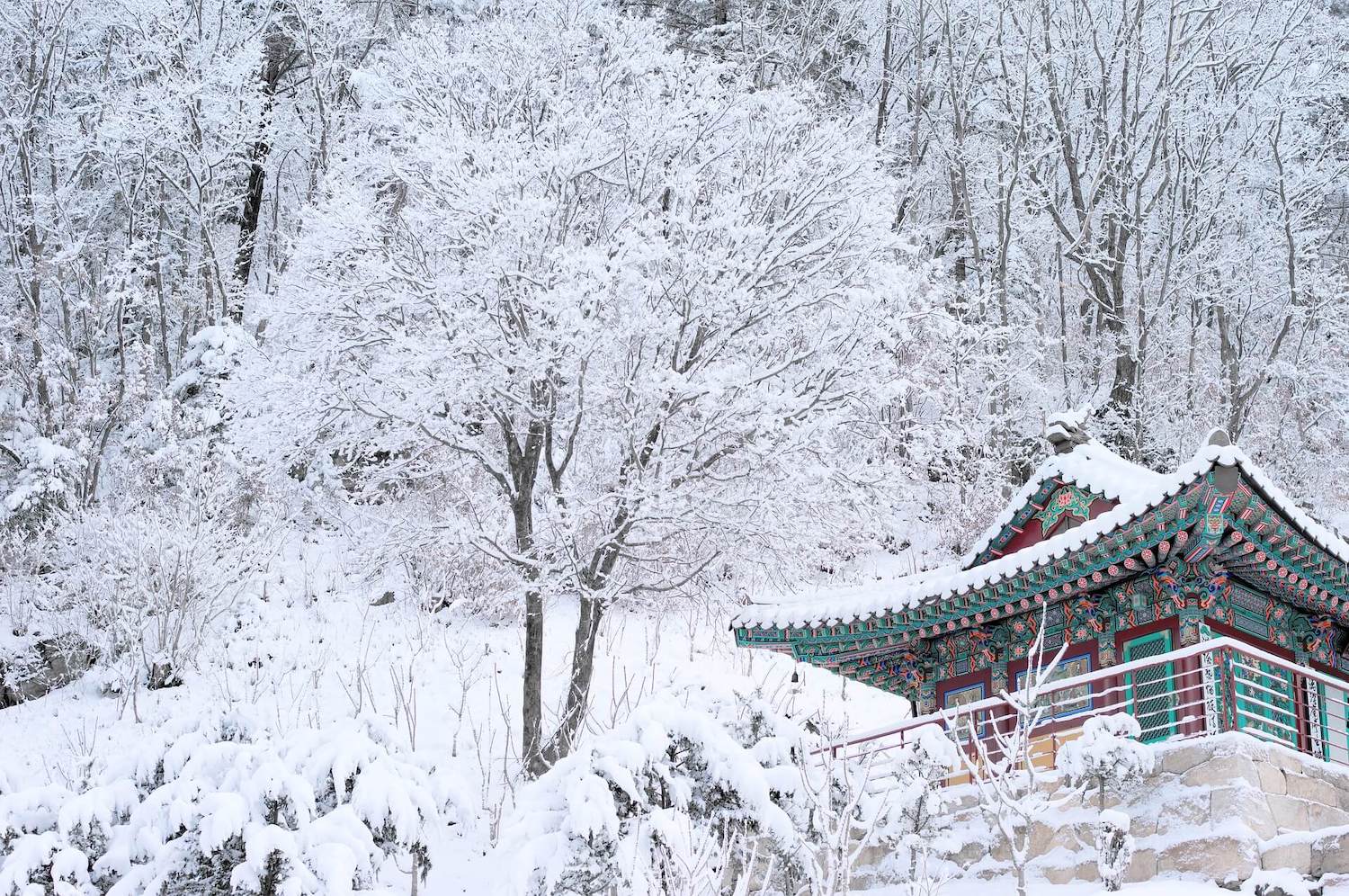 snow and a temple in korea