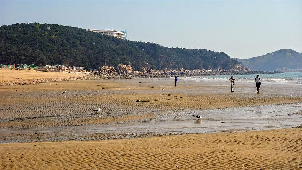 beaches near seoul - wangsan beach