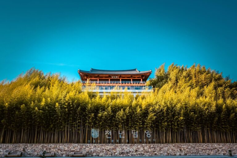 damyang bamboo forest - juknokwon