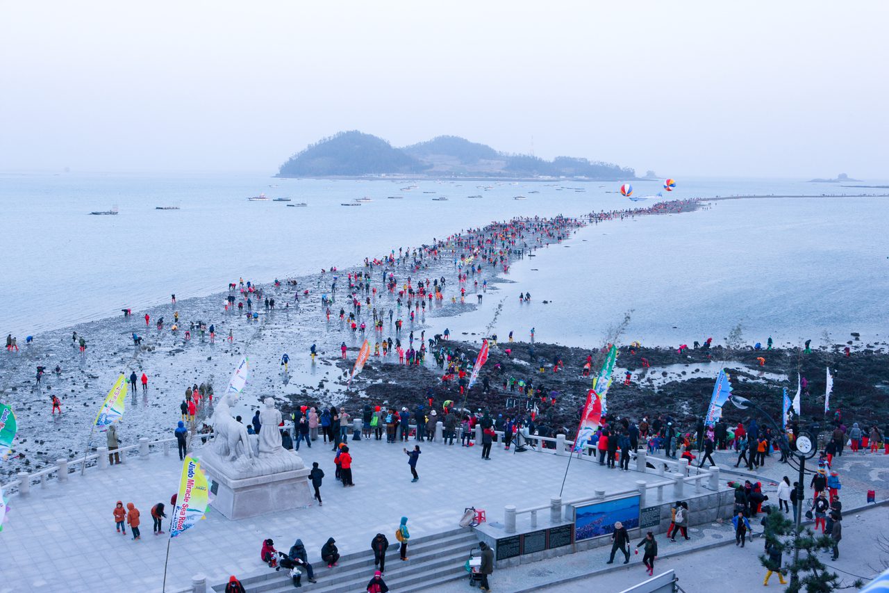 jindo miracle sea festival in spring