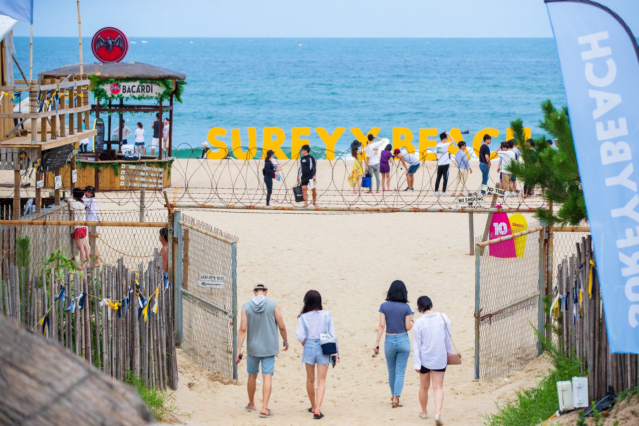 beaches in korea | surfyy beach in yangyang
