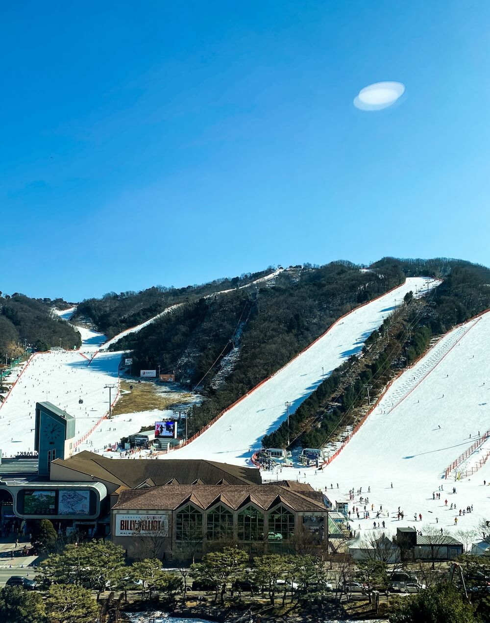 ski resort in korea | vivaldi park ski world 