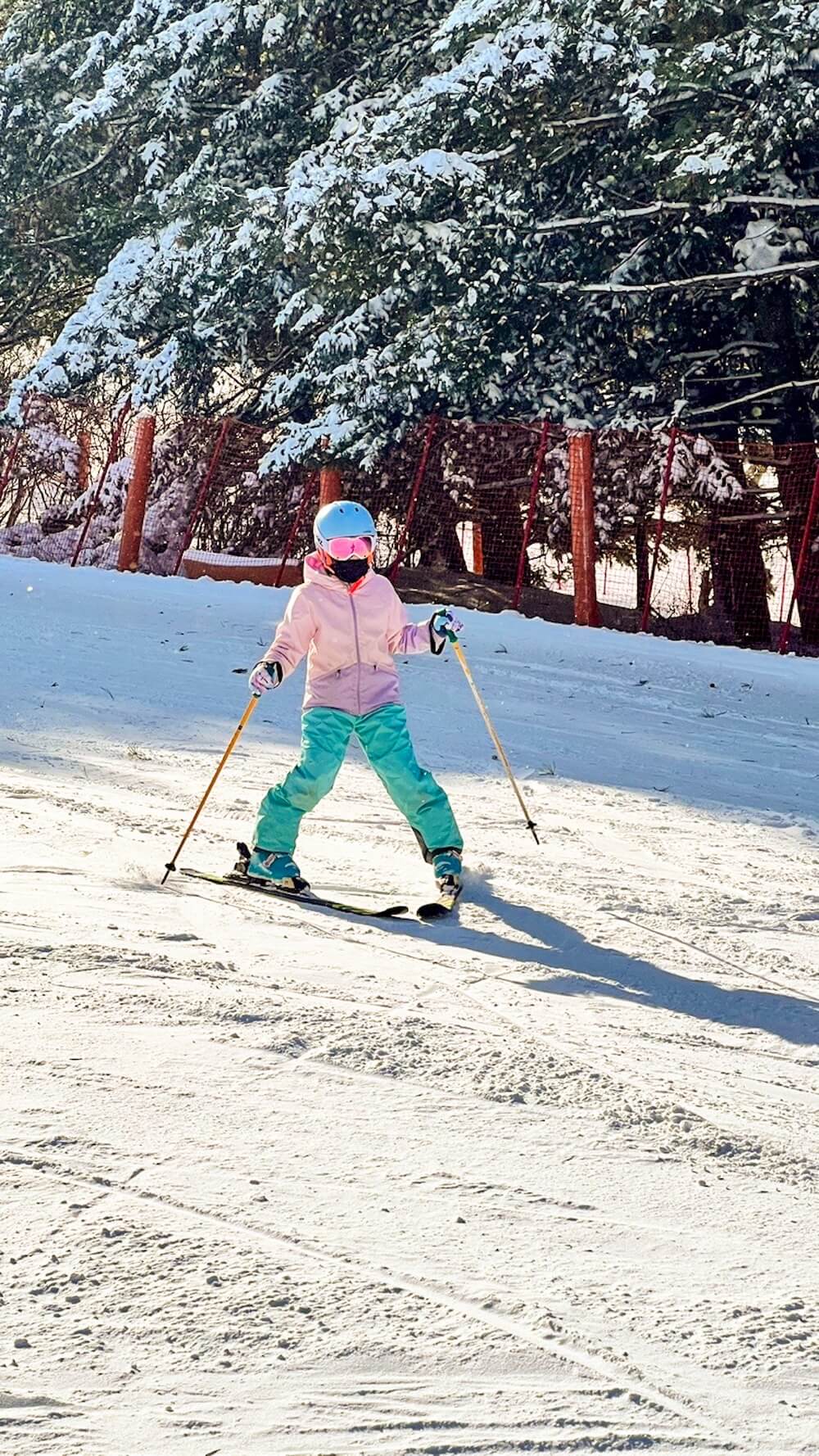 ski resort near seoul | elysian gangchon