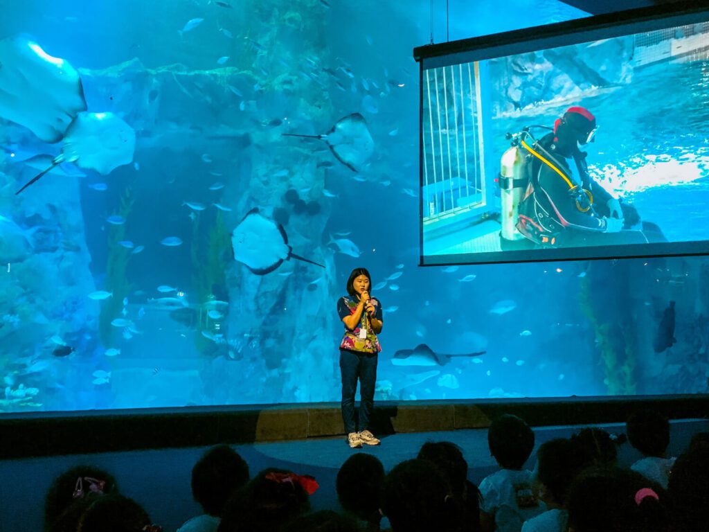 educational programs at Lotte World Aquarium