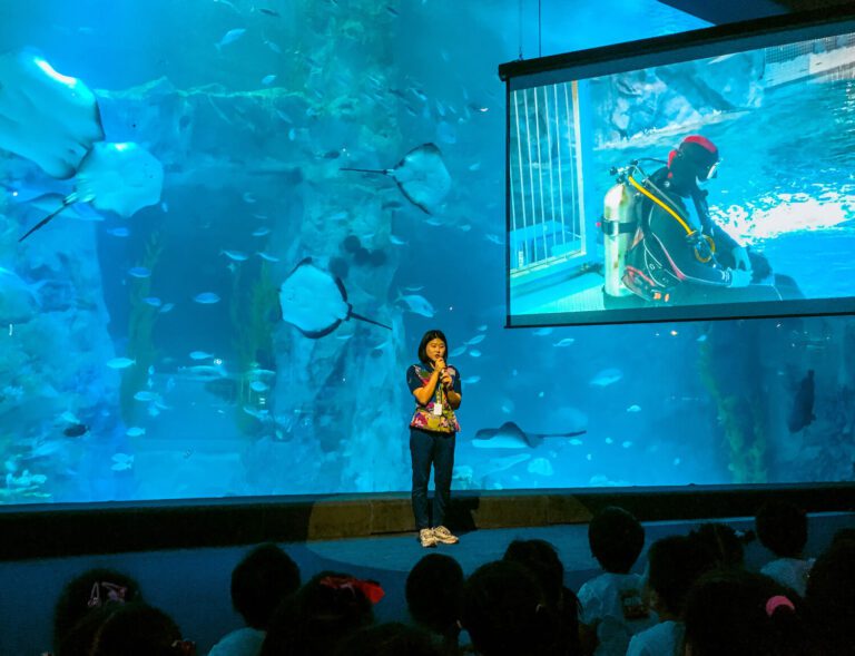 educational programs at Lotte World Aquarium