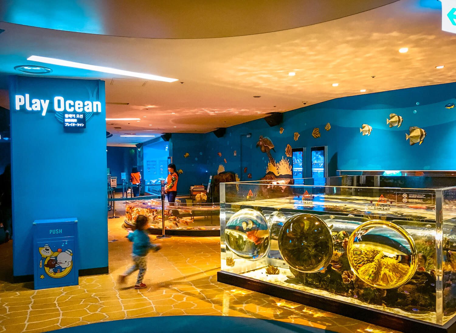 lunar new year in seoul | play ocean zone at lotte world aquarium