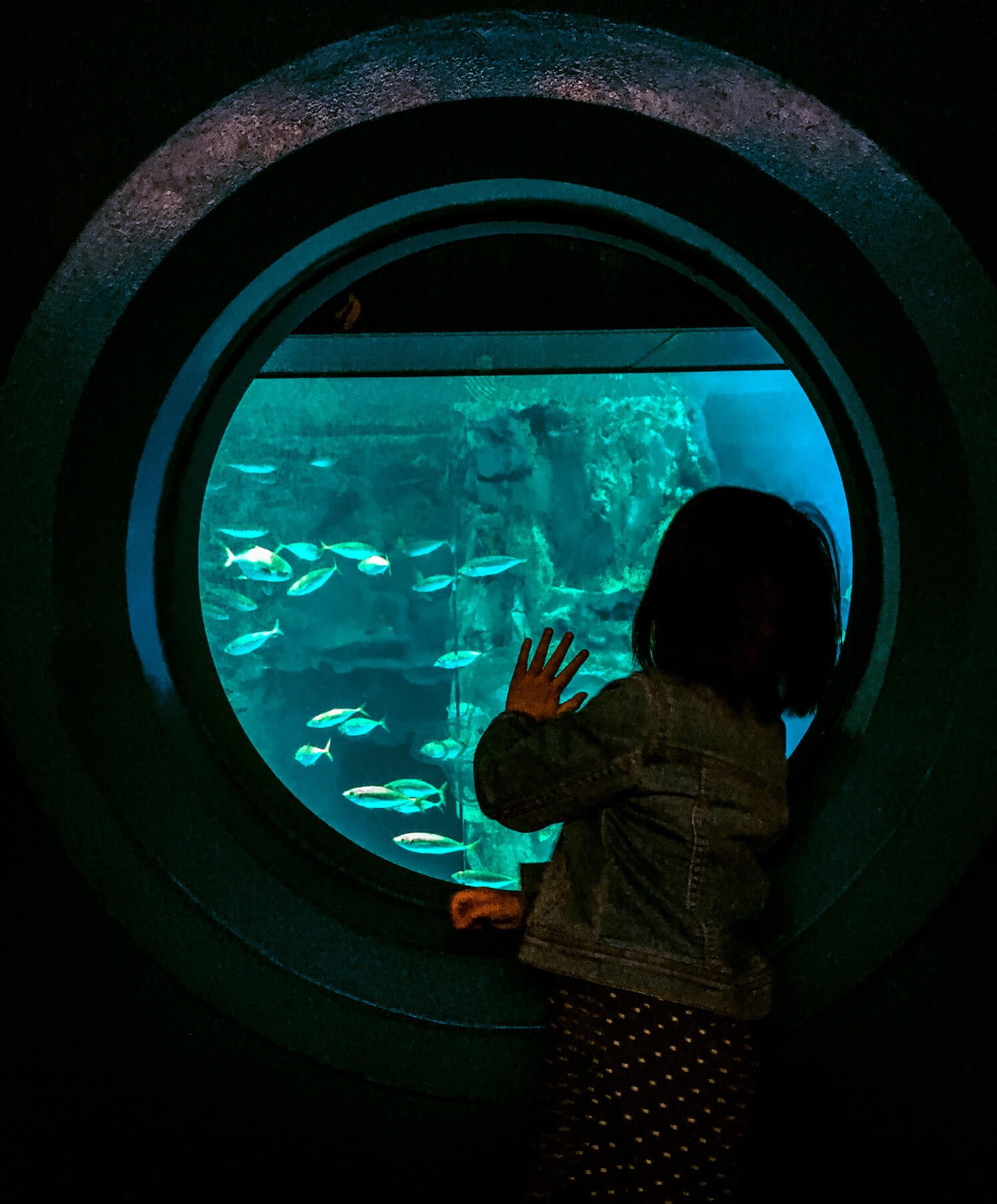 lotte world aquarium in jamsil, seoul