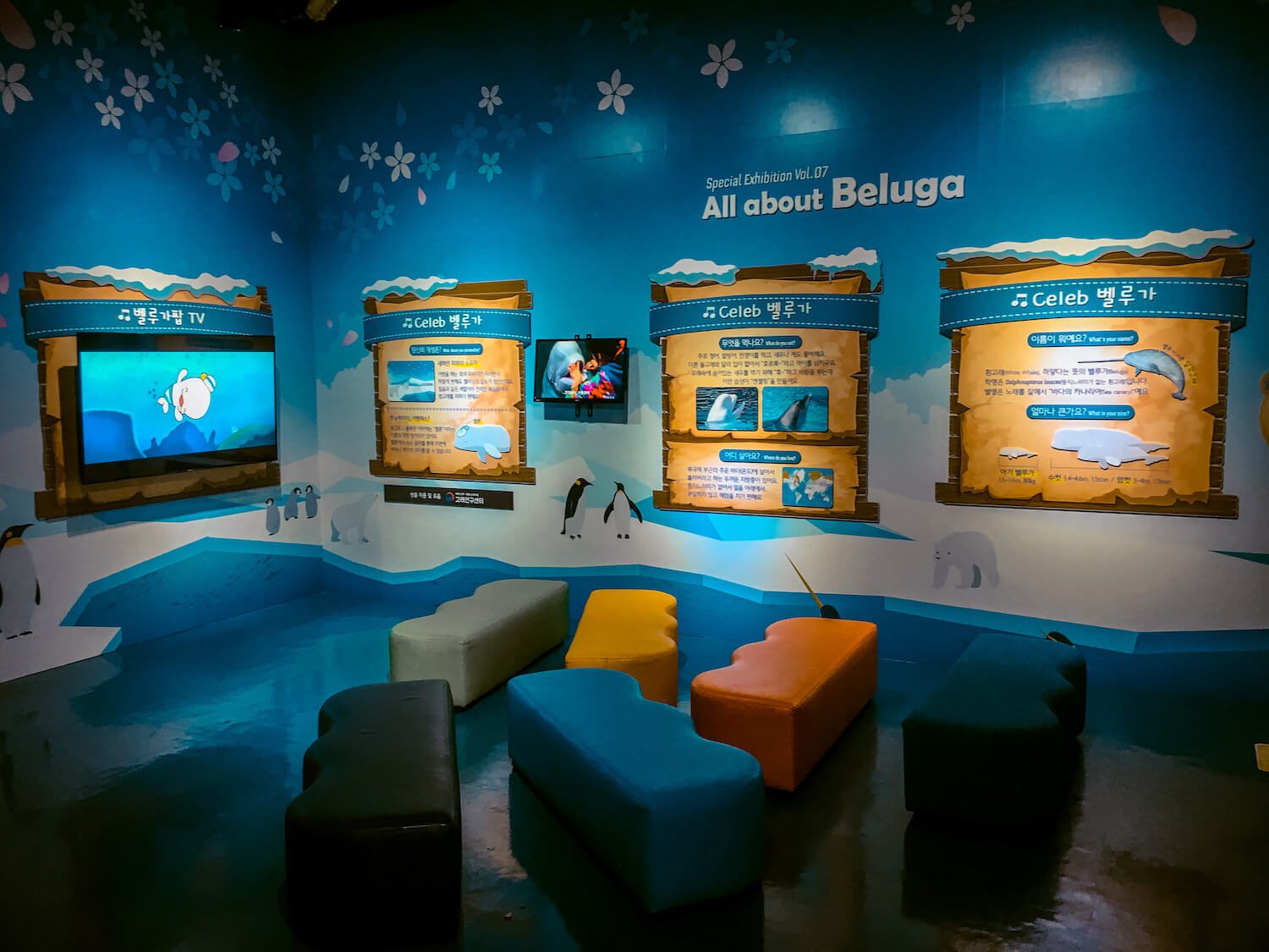 beluga ecosystem exhibit at lotte world aquarium