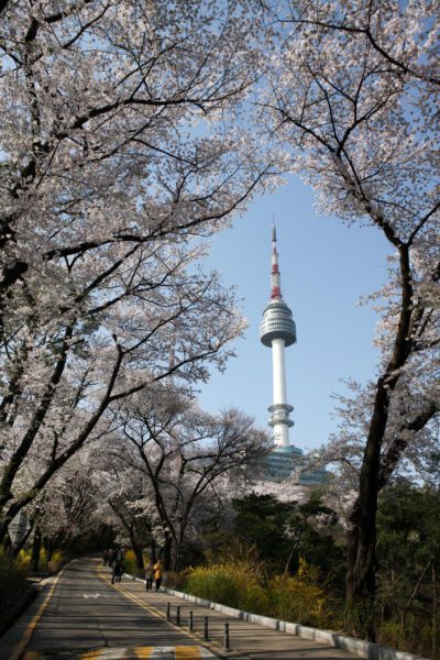 where to stay in myeongdong | namsan tower