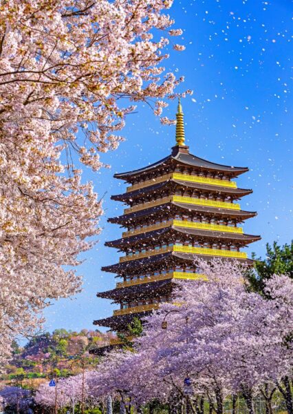 Korea In March 2025 | Weather + Best Festivals In Seoul And Beyond