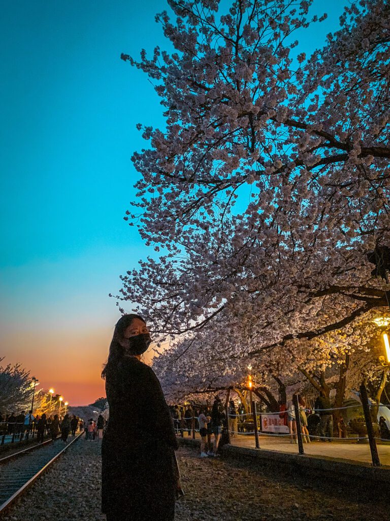 Korea In March 2025 | Weather + Best Festivals In Seoul And Beyond