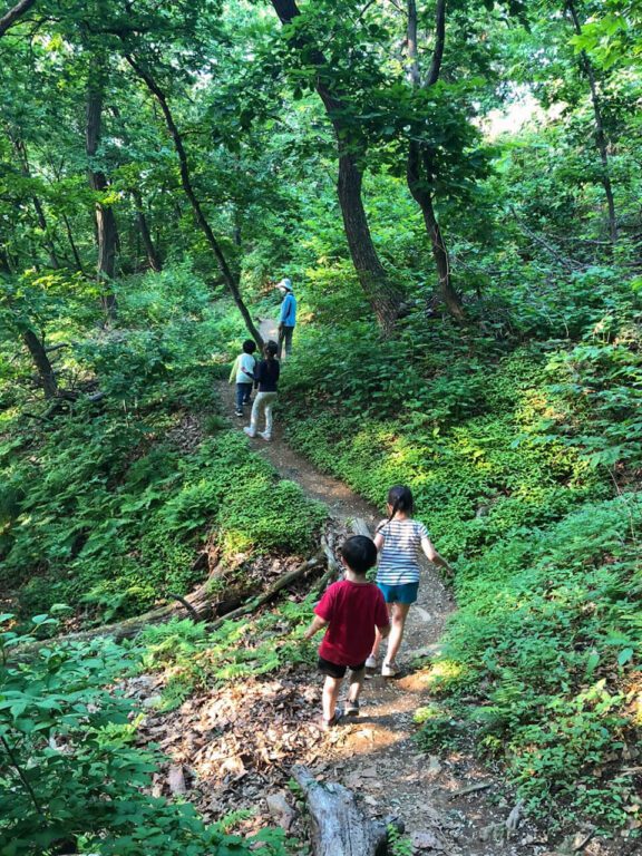 hiking in korea