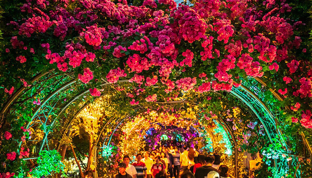 korea in may | seoul rose festival