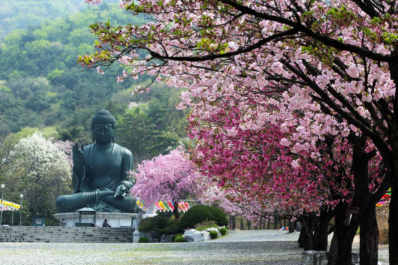 gagwonsa temple during spring in korea