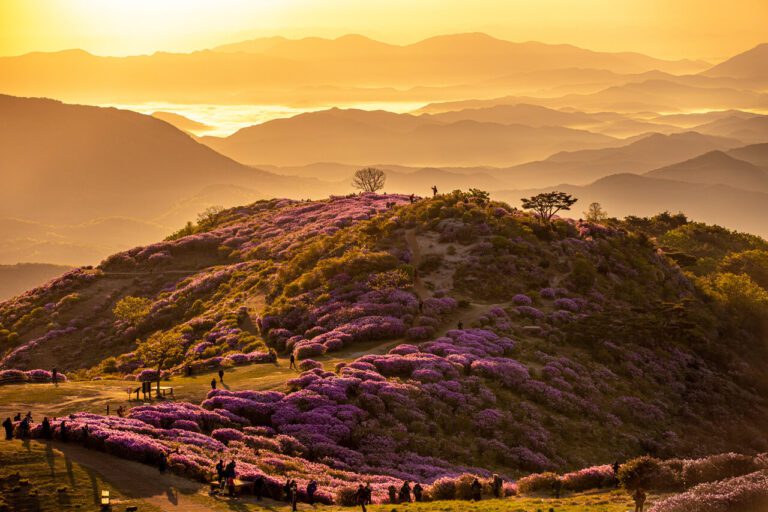 South Korea In April 2026 | Weather + Best Festivals In Seoul And ...