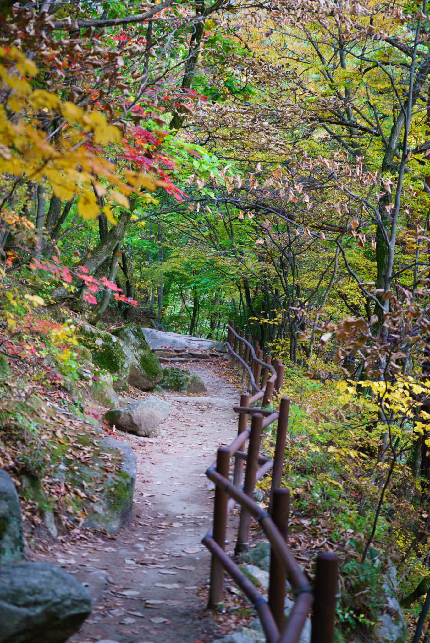 autumn in korea | odaesan national park