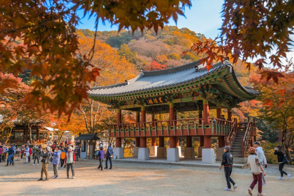 baegyangsa temple in naejangsan national park