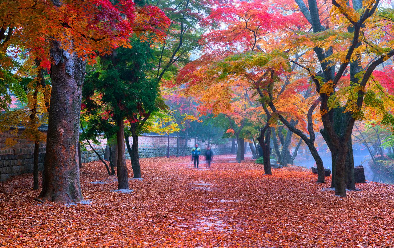 autumn in korea | seonunsa temple