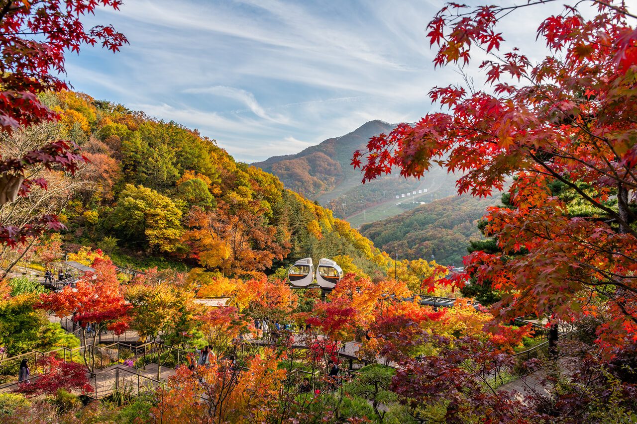 autumn in korea | hwadam forest