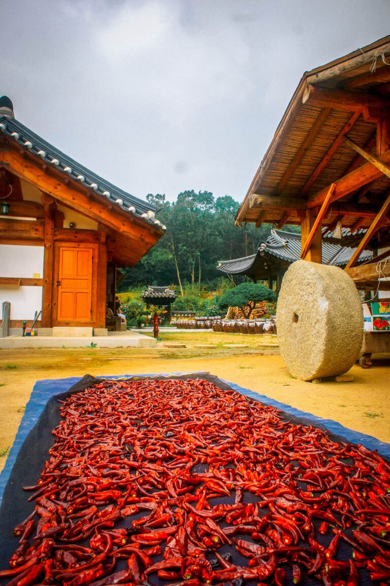 Visiting Korea In September 2024 | Weather, Best Festivals And What To