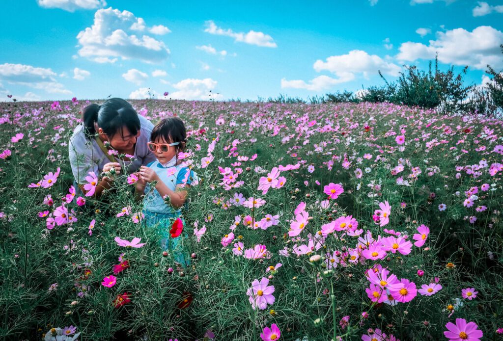 korea in september | anseong farmland