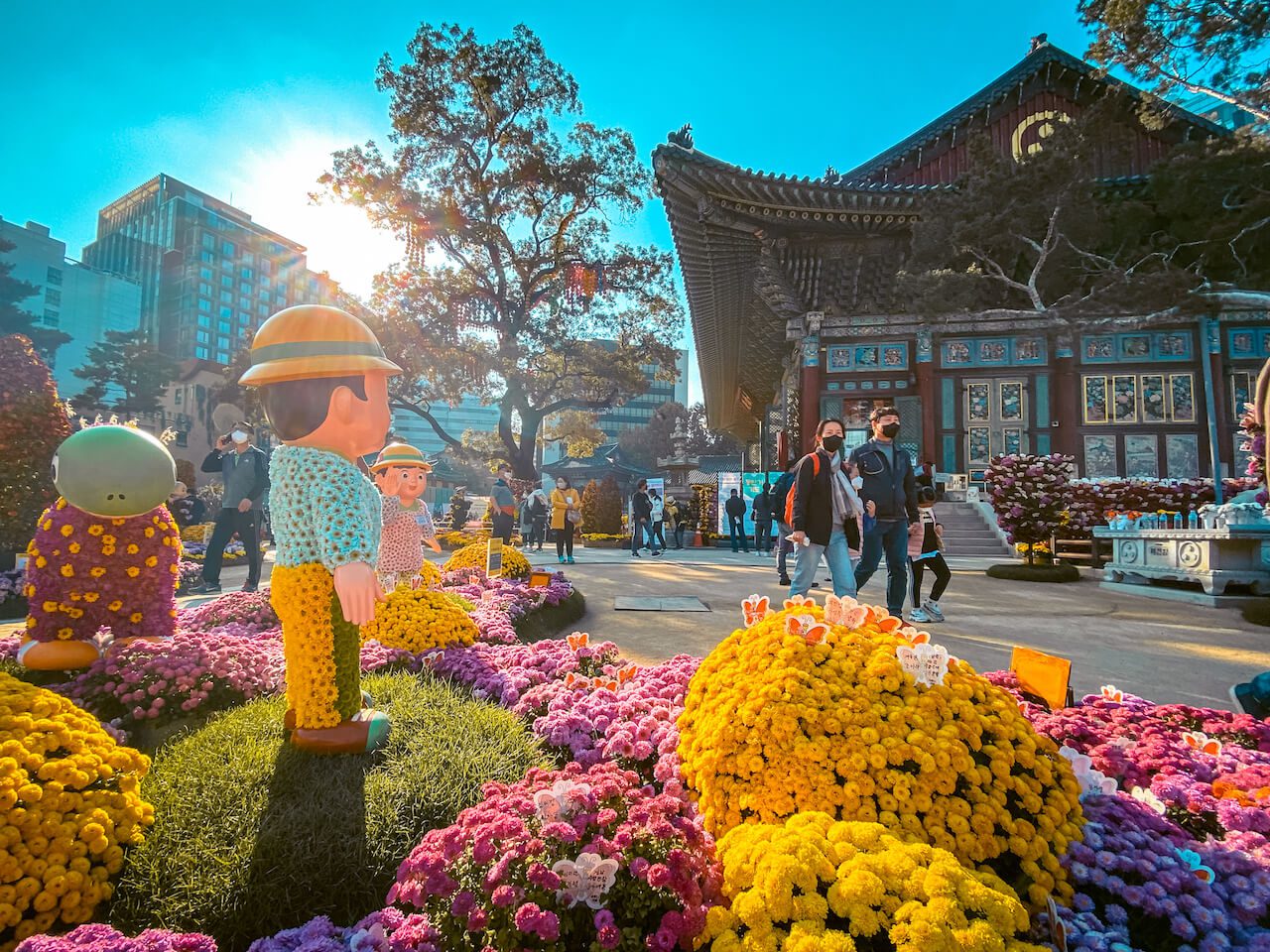 korea in october | jogyesa chrysanthemum festival