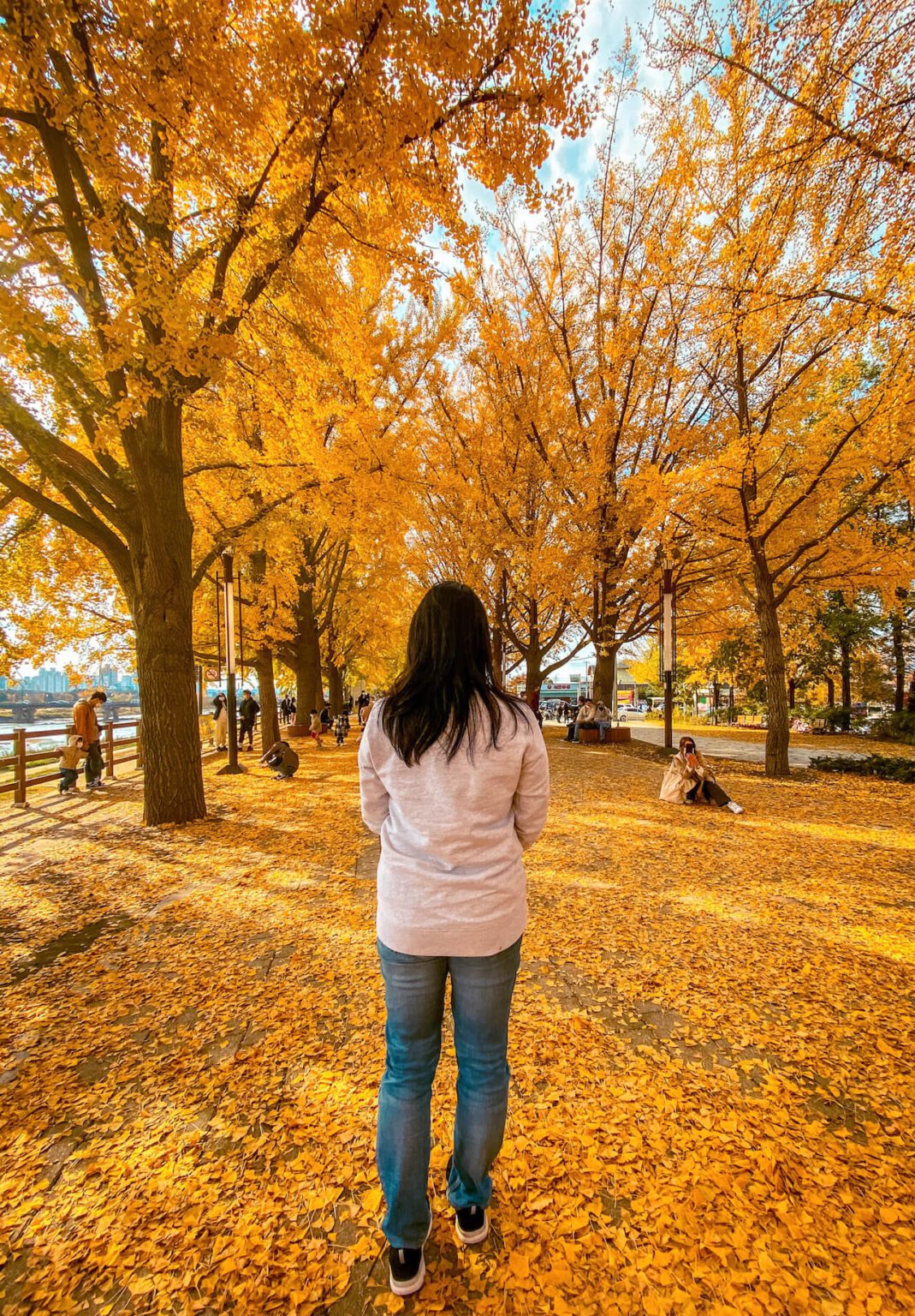 South Korea In November Weather, What To Wear + Best Things To Do In Seoul And Beyond » Travel