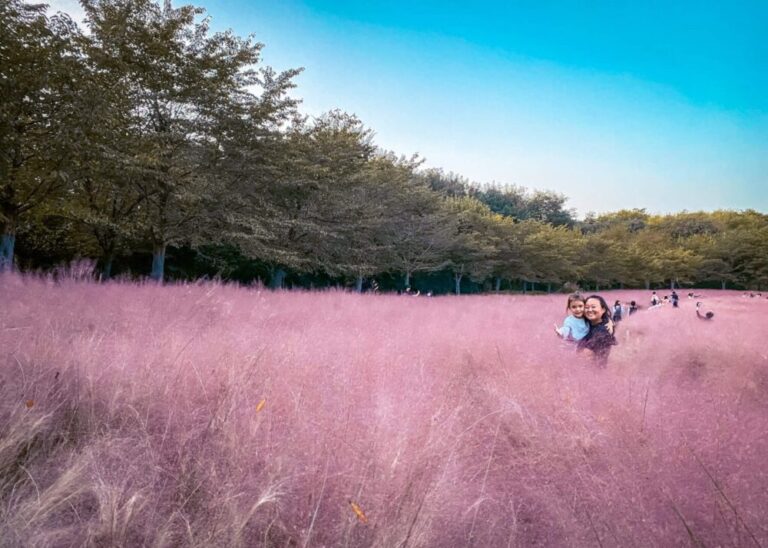 Visiting Korea in October | Weather, Best Festivals + What to Wear ... Weather in october seoul