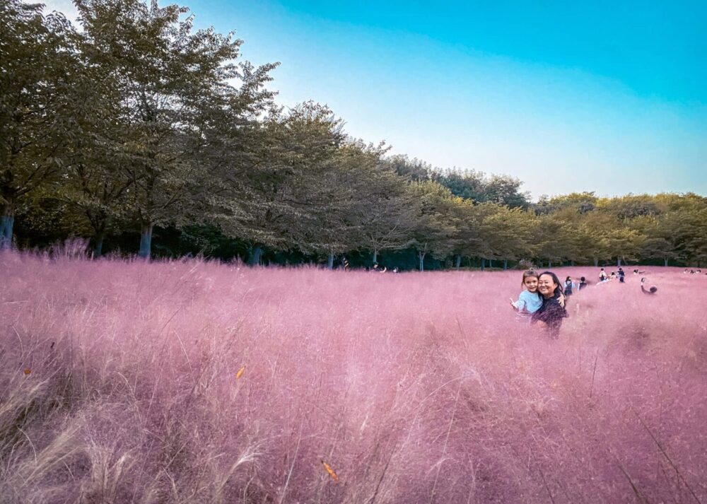 korea in october | pink muhly at olympic park