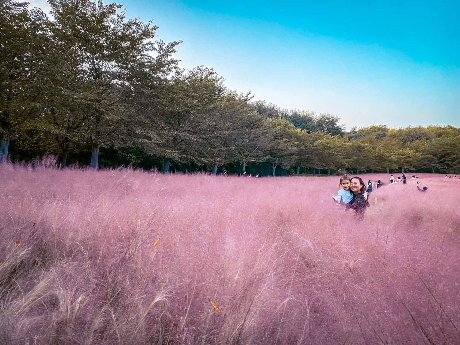 korea in october | pink muhly at olympic park
