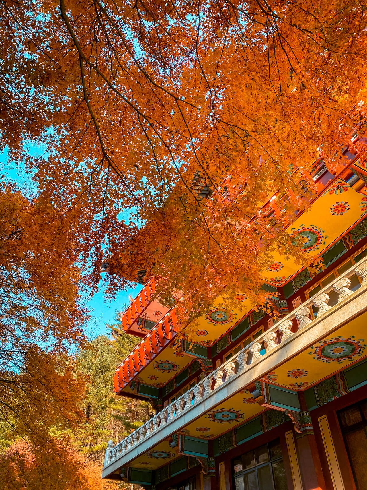 autumn in korea | guinsa temple danyang