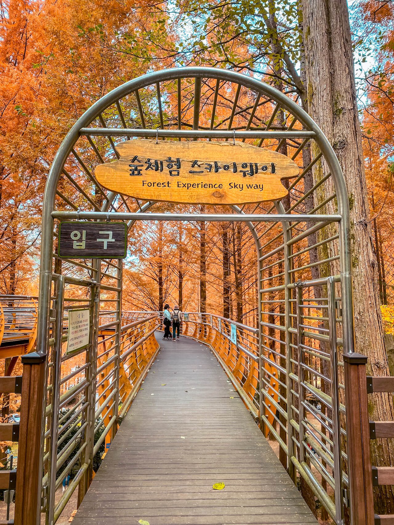jangtaesan recreational forest suspension bridge